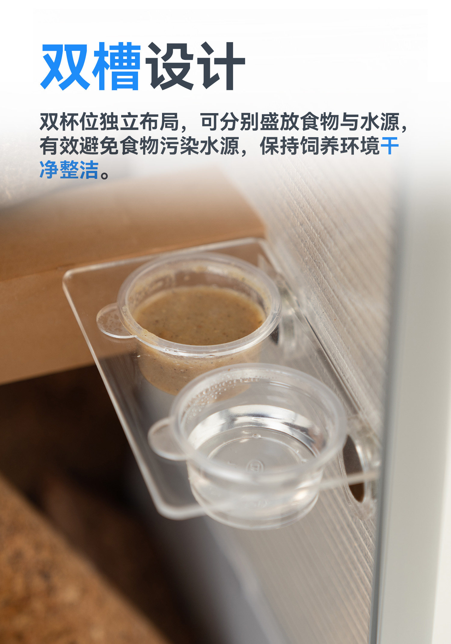 【达芬奇严选】悬浮磁吸水盆睫角水盆果泥盆树栖爬宠水盆 detail 4