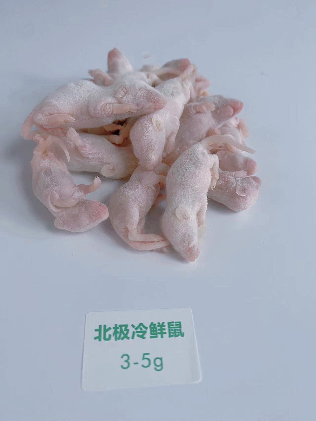 北极冷鲜鼠 冰冻小白鼠 爬宠冻老鼠乳鼠白霜红皮跳跳宠物蛇食物鼠 detail 4