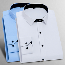 Spring thin section Long sleeve shirt male business career fixture is being loaded with pure blue shirt male worker to make an inch fir to work