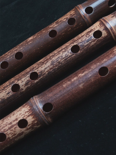 Профессиональные этнические музыкальные инструменты из старинного материала для взрослых для школьников, подходит для начинающих