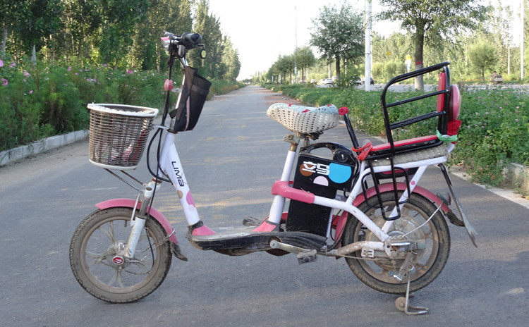 siège enfants pour vélo - Ref 2415072 Image 9
