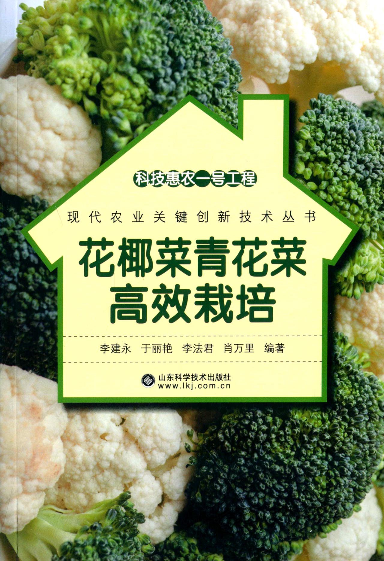西蘭花種植技術大全青花菜綠菜花綠花菜栽培技術2光碟3書籍 西蘭花種植技術大全青花菜綠菜花綠花菜栽培技術2光碟3書籍
