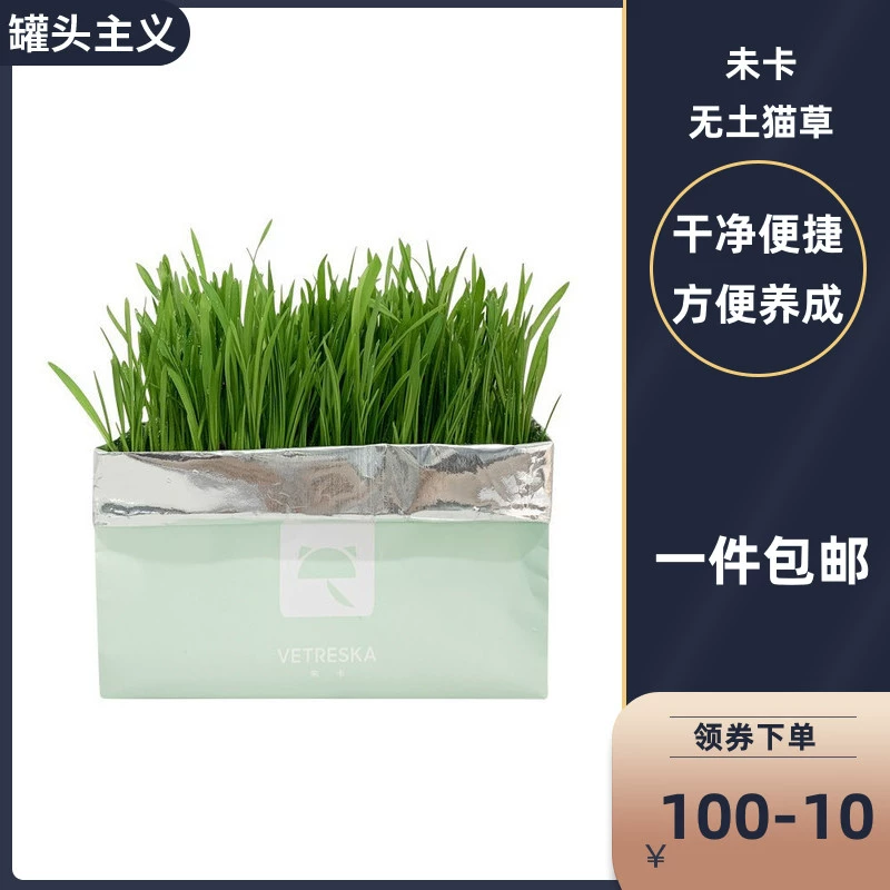 Cỏ mèo Weika không đất trồng trong chậu lưới màu đỏ catnip có lợi cho ruột để ruột bóng lông để gây nôn mửa và đồ ăn nhẹ cho mèo tươi miệng - Đồ ăn nhẹ cho mèo