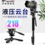 Weifeng 3978M camera chụp ảnh camera SLR monopod monopod đứng cầm tay hỗ trợ Video chân thủy lực đầu chuyên nghiệp đám cưới vi phim giảm xóc DV Micro đơn góc khung di động Canon - Phụ kiện máy ảnh DSLR / đơn tripod bạch tuộc