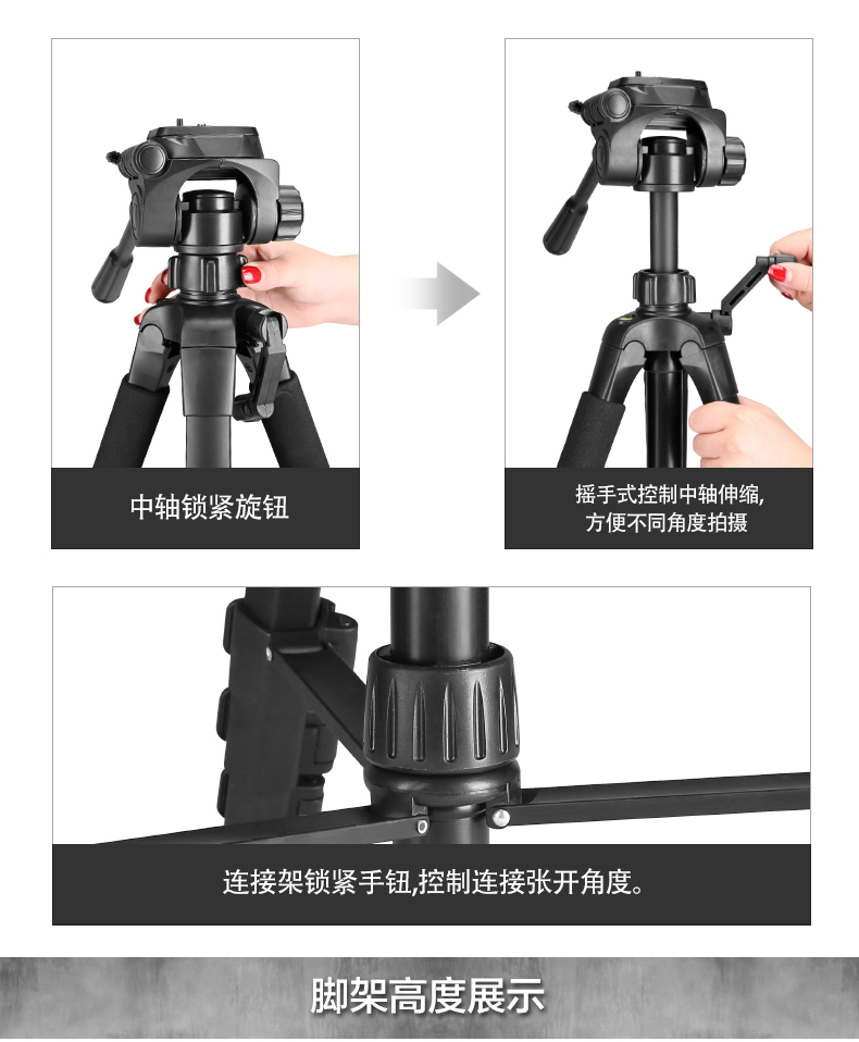 Weifeng 520 chân máy ảnh SLR đơn vi camera tripod di động chụp ảnh giữ chân đứng điện thoại di động trực tiếp ngoài trời Desktop video phổ mini mini đa chức năng chân máy cầm tay nhỏ - Phụ kiện máy ảnh DSLR / đơn chân máy quay phim