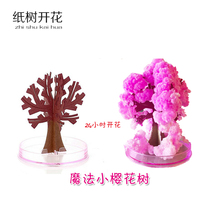 Paper tree flowering small cherry blossom crystal growth snowflake Magic tree desktop creative send children six life day gifts