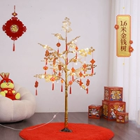 1,6 метра денежного дерева