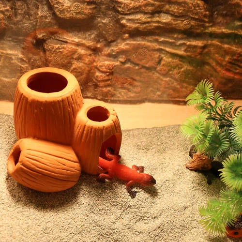 Ящерица ящерицы пустыни капера