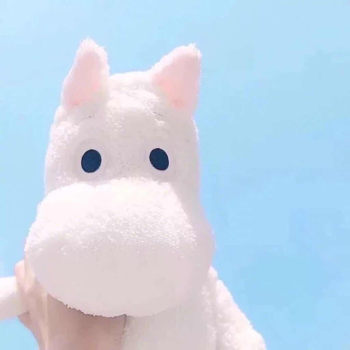 Korean ins cute cartoon soft white hippopotamus moomin elf doll ປອບໃຈ doll accompanying sleep doll