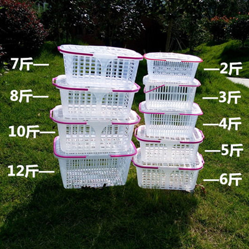 Yangmei Picking Basket, Plastic with Lid, 5 Pounds, 5kg Hand-Held Packaging, Blue Strawberry, Egg, Cherry, Fruit and Vegetable Basket Yangmei Picking Basket, Plastic with Lid, 5 Pounds, 5kg Hand-Held Packaging, Blue Strawberry, Egg, Cherry, Fruit and Vegetable Basket