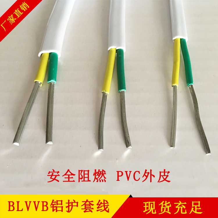National Label 2 * 2 5 4 6 squared double core aluminium wire BLVVB aluminium 2 core aluminium sheath wire wire 2 core wire foot 100 m-Taobao