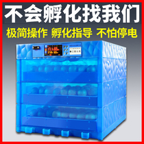  Warm cube incubator Chicken small household hatching machine Automatic duck and goose hatching box 64 smart egg hatcher