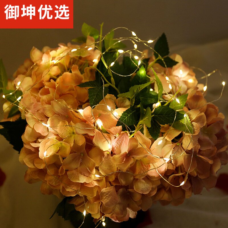 LED copper wire light string button battery light battery box USB10M with remote control flash light decoration waterproof cross-border direct supply