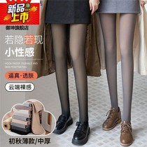 Stewardess gray all-in-one translucent pants plus velvet womens autumn and winter thickened warm black stockings fake translucent pantyhose leggings