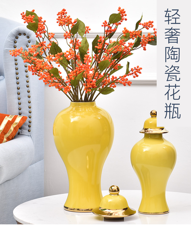 Creative light key-2 luxury ceramic vases, the sitting room TV wine porch home furnishing articles