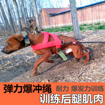 Biter dog bully Staffan explosive force training elastic rope training equipped chest braces buffer rope rapper supplies