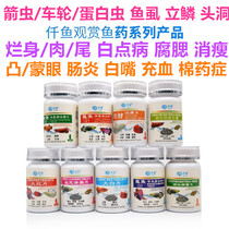 In addition to the protein worm parasitic nematodes one thousand fish large white sheet white spot water moldy dragon fish rotten enteritis Monconvex eye fish lice medicine