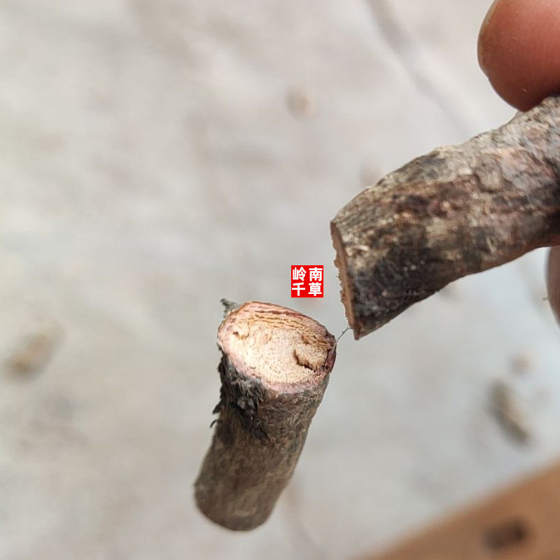杜仲中药材怎么选？2026年为何更强调&ldquo;厚皮老树&rdquo;与&ldquo;产地可溯&rdquo;？