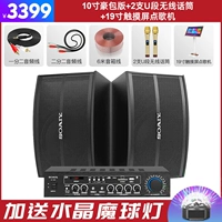 Беспроводной микрофон, караоке, 10 дюймов, 2 шт, 19 дюймов