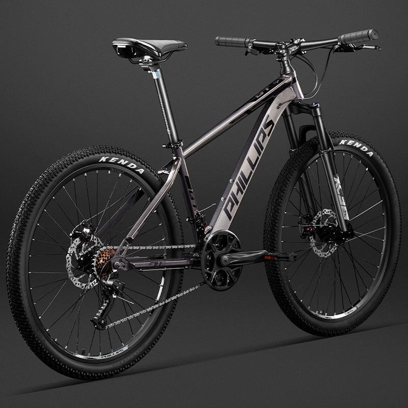Philip Mountain Bike Bicycle Adult Bicycle Men's and Women's Models with Gears for Teenagers Off-Road Commuting Student Bike