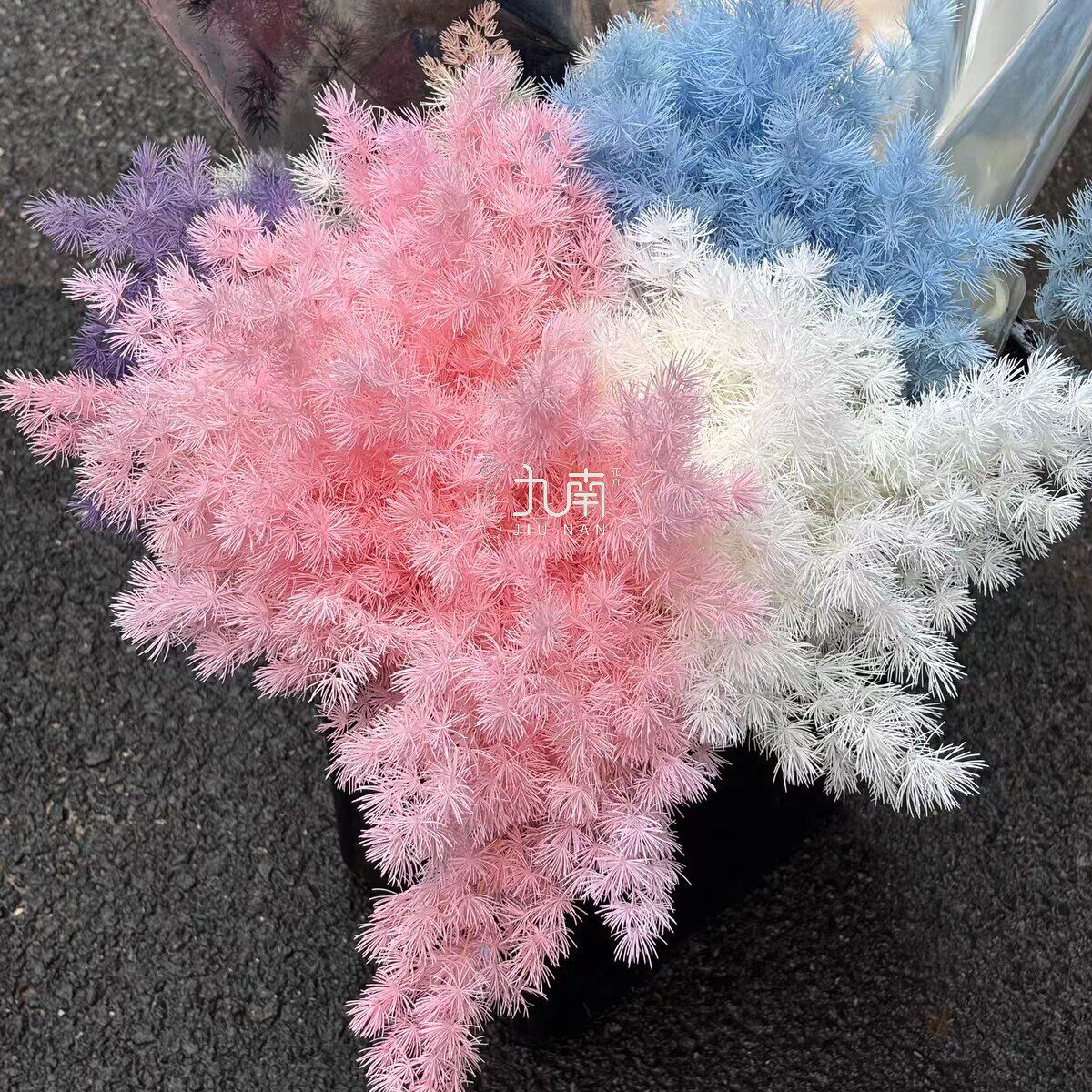 白色蓬莱松永生花优质A级鲜花花束包装配材手工DIY材料