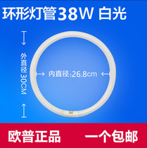 OPPLE OPE Ceiling Lamp Circular Tube YH38RR16 RGB 38W Three-primary Color Square Four-pin White Light