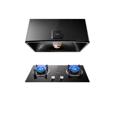 Boss 3009 30B0 Chinese household small size smoking machine gas stove set smoke stove combination