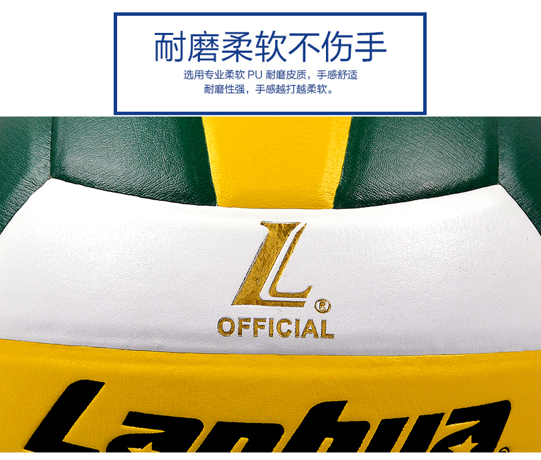 Ballon de volley - Ref 2016703 Image 5