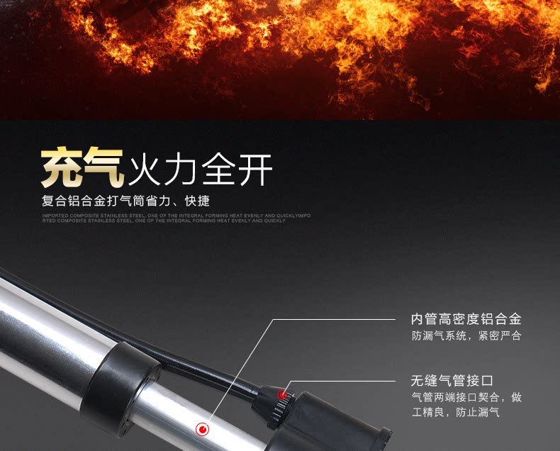 Pompe à vélo - Ref 2389003 Image 11