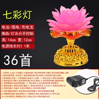 36 розовых лепестков (одиночные чашки) -U21