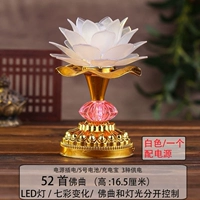 52 High White Lights (один) -O84