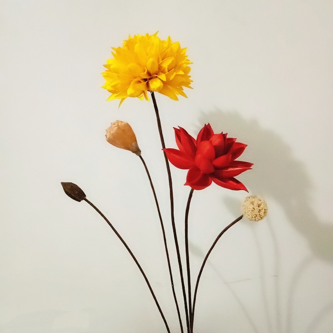 Zen gỗ sen bông máy sấy khô hoa thật hoa khô bó hoa trang trí nội thất nhà phòng khách thiết lập bộ tươi nhỏ.