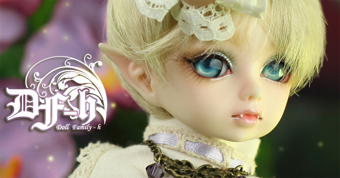 (Closing Display) DF-H 6 points Shano BJD original