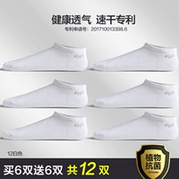 C [антибактериальный твердый цвет 12 двойной пакет] 12 двойной белый