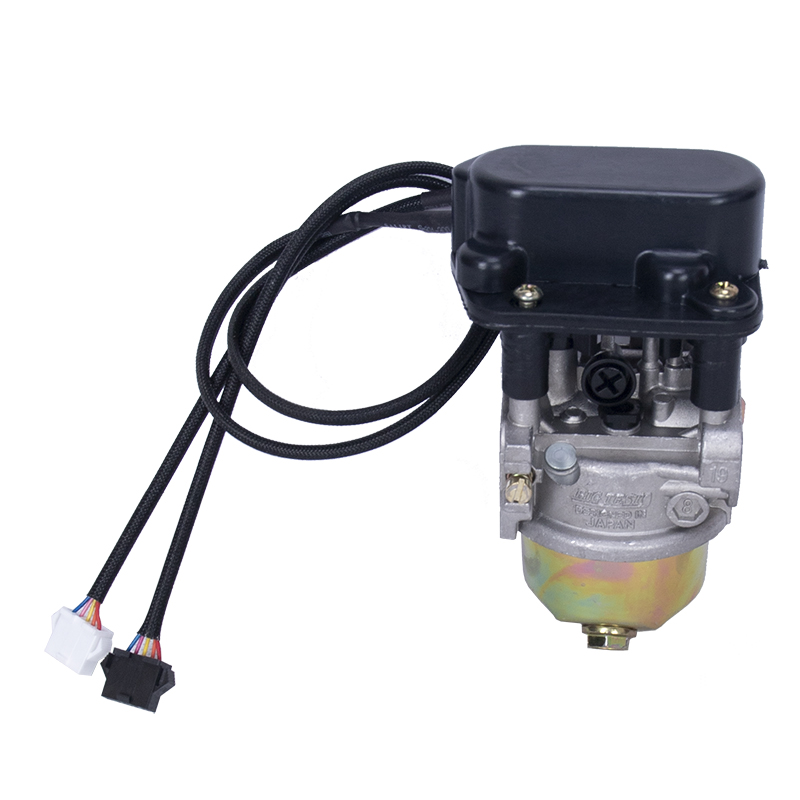 Booster generator accessories General automatic throttle frequency conversion carburetor 12V24V48V60V72V-Taobao