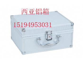 Western Asia Instrument Box Aluminum Alloy Case Professional Custom Transport Case Avionics Box