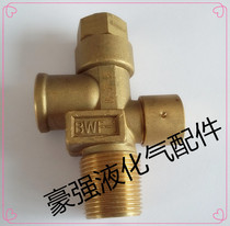 Propane bottle valve fittings Spool valve stem sealing ring Cylinder angle valve Propane valve Bottle head bottle mouth total valve