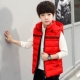 Áo vest bé trai mùa thu và mùa đông chất liệu cotton 2018 trẻ em mới mặc phiên bản Hàn Quốc cho bé trai áo vest dày áo khoác em bé ấm áp