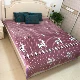 Pha lê giường nhung pad ngủ bìa Taikang mùa đông bộ đồ giường chăn che hai mặt nhung san hô bông nhung cộng với tăng trẻ em giường - Trải giường ga trải giường đơn