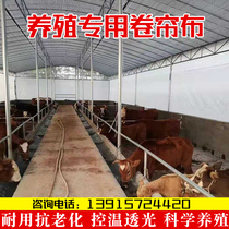 Thickened Breeding Farm Roller Blind Canvas Pig Farm Rolls fabric Rain-proof waterproof wind-proof sunscreen tarpaulin awning cloth