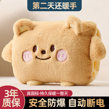 Rechargeable Hot Water Bottle, Cute Plush Hand Warmer, Warm Baby Bottle for Girls, Hot Compress for Stomach, Water-Filled Explosion-Proof Hot Water Bottle