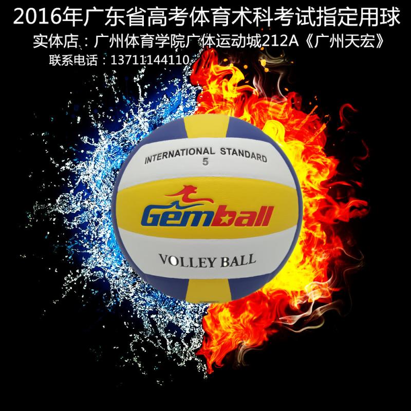 Ballon de volley-ball - Ref 2011267 Image 6
