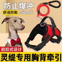 Lingti Special Vest Traction Rope Big Dog Rope Red Summer Pre-Fast Blast Branch Branch Brand Collar