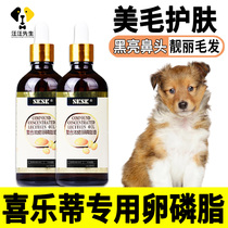 Hairy-colored pet for Hairy Specialized Dogs to Prevent Hair Reduction to Black Nose
