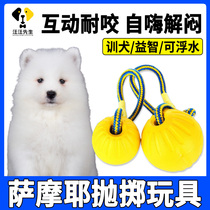 Samoyed dog bite toy good intelligent muffling artifact since hi tear bite outdoor interactive ball large dog