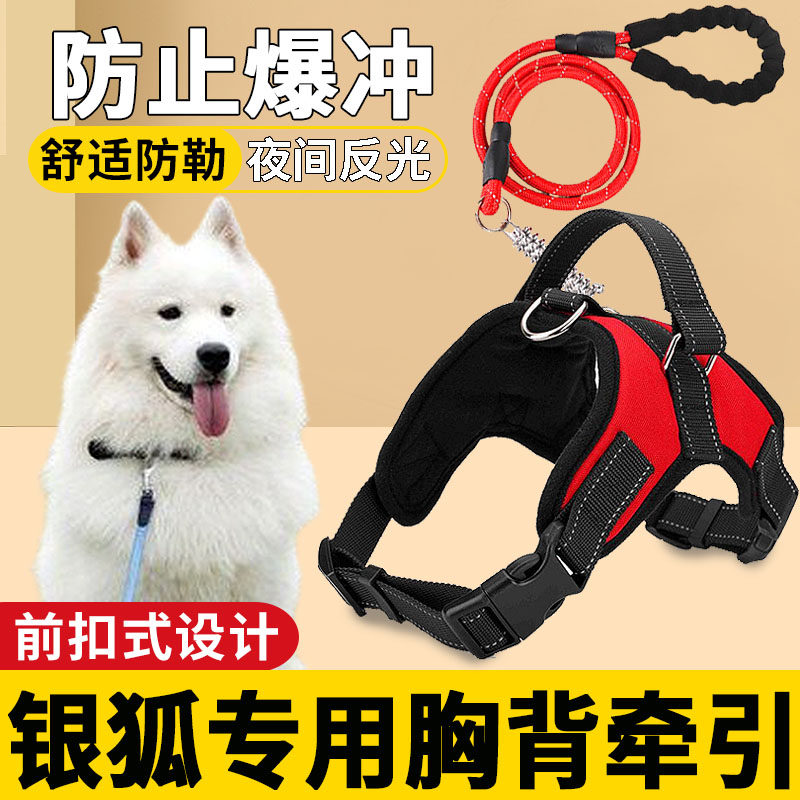 Silver Fox special vest traction rope large dog rope red summer front buckle anti-explosion button brake tie collar collar