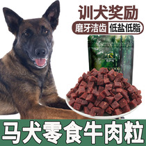 Horsedog Dog Rewards Eats of Beef Grain to Stenostomy Zero Food Increase the Dog Grindle Young Dog Three Months Nutritious Food