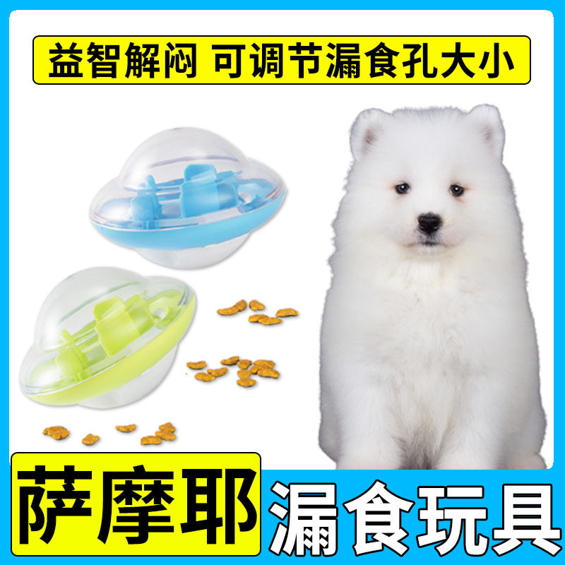 Samoyed dogs play their own consumption of physical toys and intelligent pet leak feeding since Hi ball unfused artifact