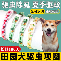 Dog Dog Extra insect repellent neck of the Dog Removal of Fla Antitick Ring for the Removal of the Lice Ring