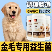 Golden hair special probiotic dog constipation conditioning gastrointestinal pet fertilizer long meat puppy eating gastrointestinal treasure products